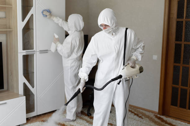 24/7 Emergency Odor Removal experts in Bellevue, KY